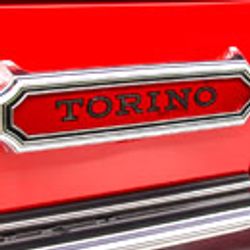 Torino logo