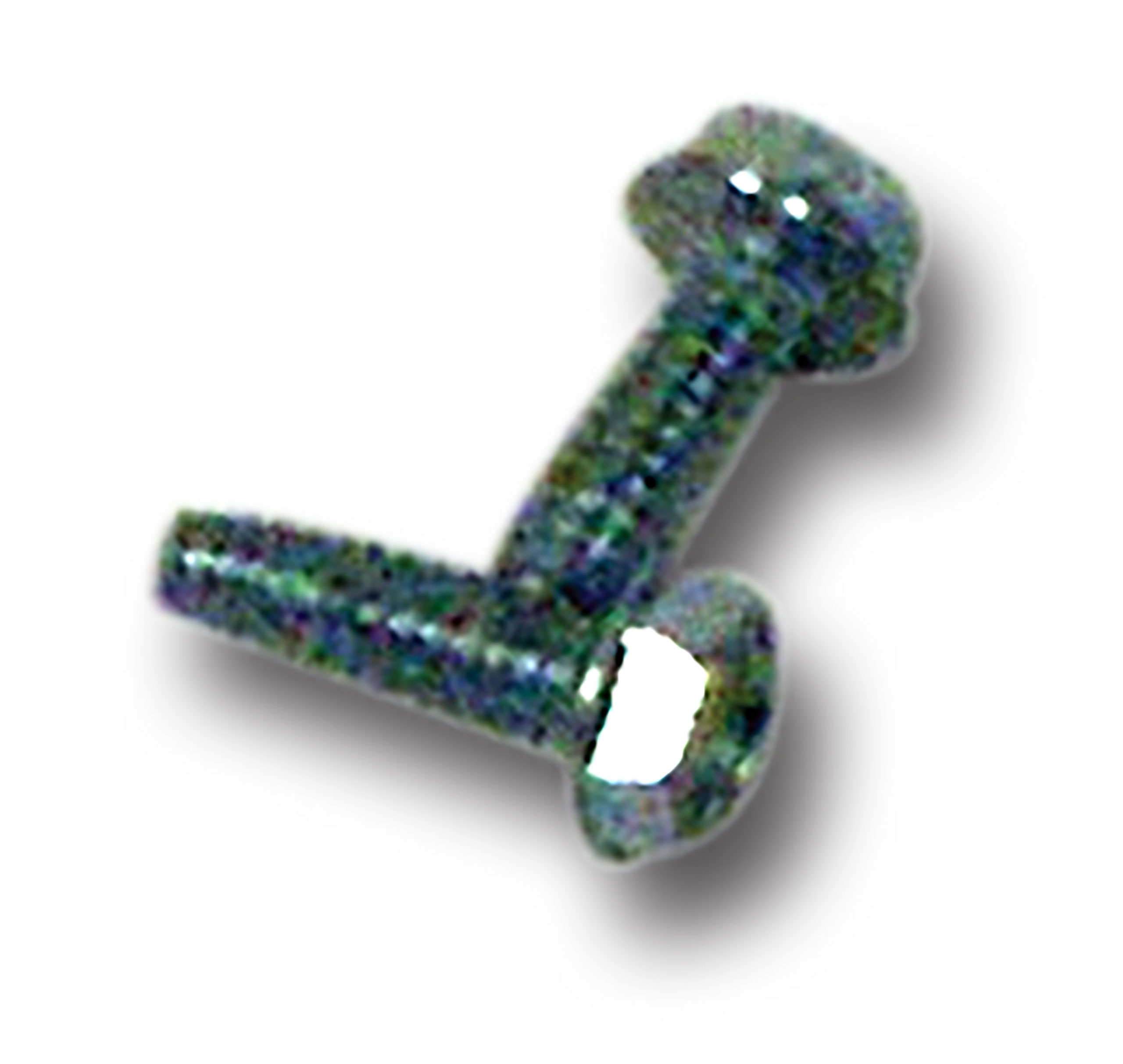 C2 1965-1967 Chevrolet Corvette Side Exhaust Cover Bracket Screws. Front - Auto Accessories of America